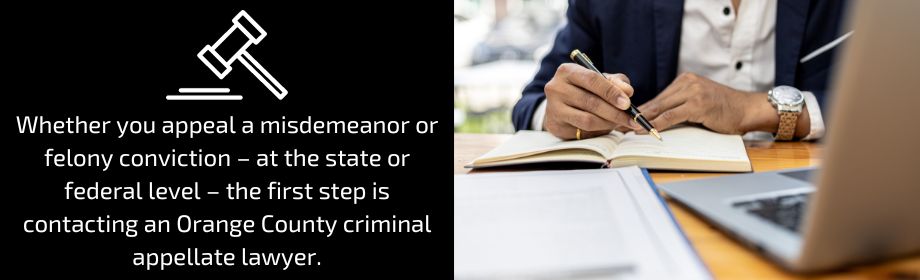 conviction appeal
