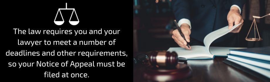 lawyer